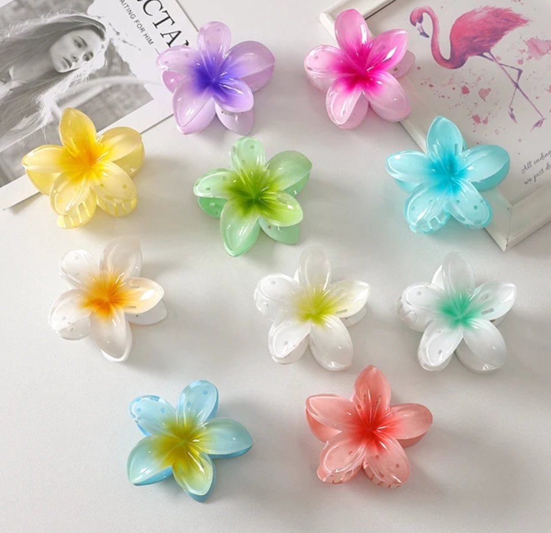 HAIR CLIPS